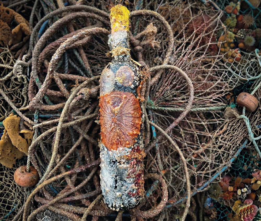Garrafa do vinho Molluscus coberta por crostas marinhas sobre rede de pesca